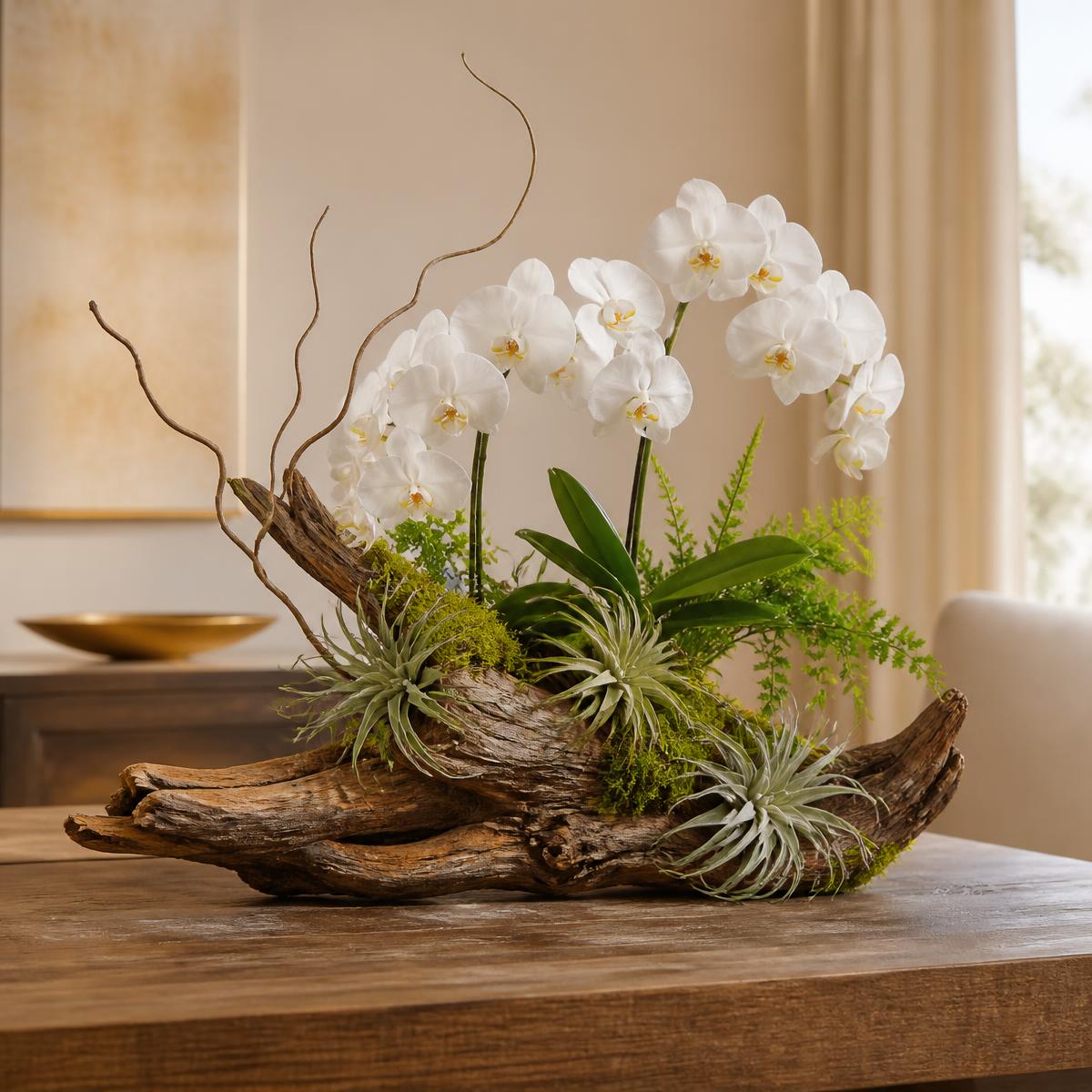 Custom living arrangement with white orchids and air plants mounted on driftwood